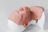 V2 Airway Trainer angioedema insert P0083 for the Decent Simulators C0010 difficult airway scenario rotation