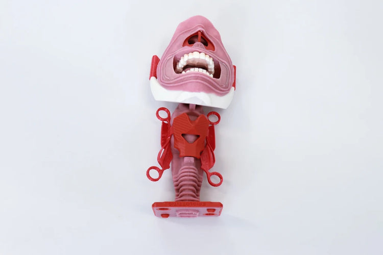Decent Simulators epiglottitis V2 airway insert P0103 mounted on the V2 neck