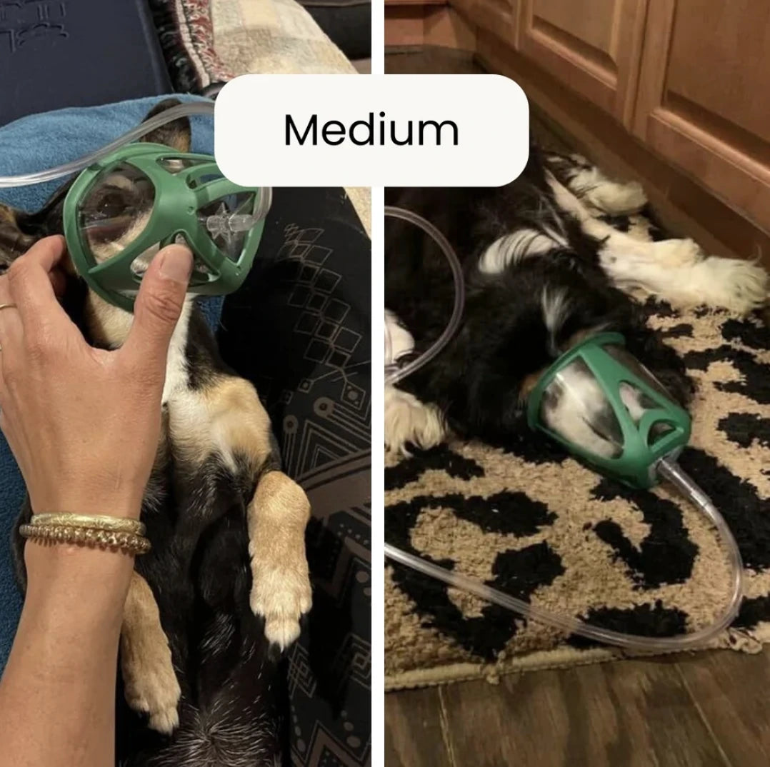 PureVent Pet Oxygen Mask - Medium (for pets 5 to 20 lb) (MPN PP-2301) applied to dogs