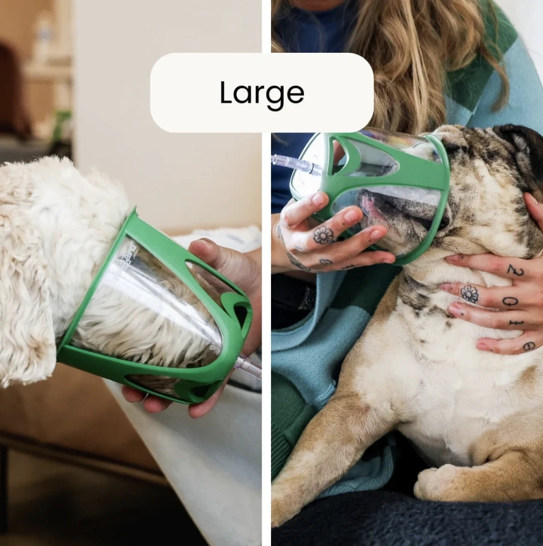 PureVent Pet Oxygen Mask - Large (for pets 20 lb and up, plus brachycephalic breeds) (MPN PP-2302) applied on dogs and animals