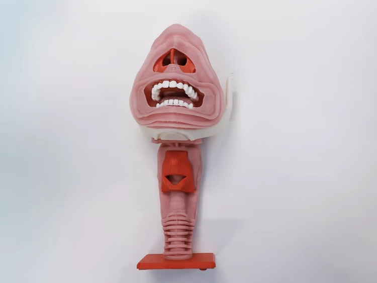 Airway Insert for V2 Decent Simulator Airway Manikin. This insert demonstrates an airway mass that the student has to negotiate to facilitate endotracheal intubation.