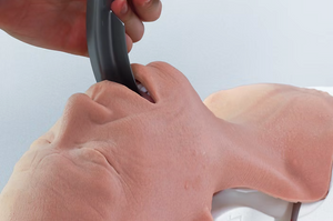 Direct Laryngoscopy with Macintosh Blade with the Decent Simulator Difficult Airway Trainer