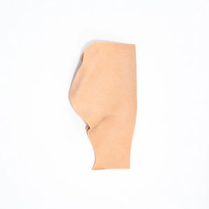 Decent Simulator V2 Airway Trainer Mass/Tumor Insert (P0090)