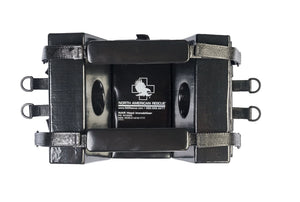 Head Immobilizer for LSB