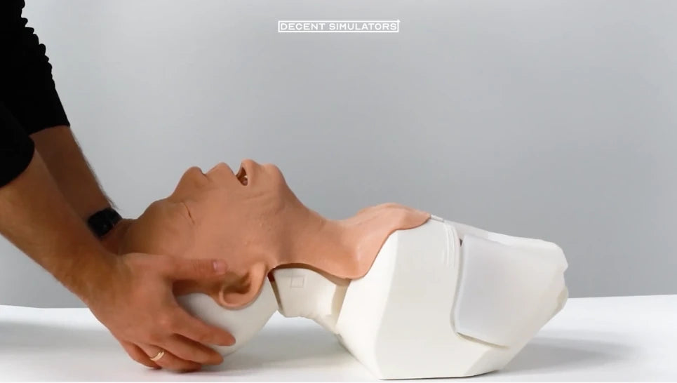 Decent Simulator Adult Airway V2 Trainer, Hand-Painted Light Skin
