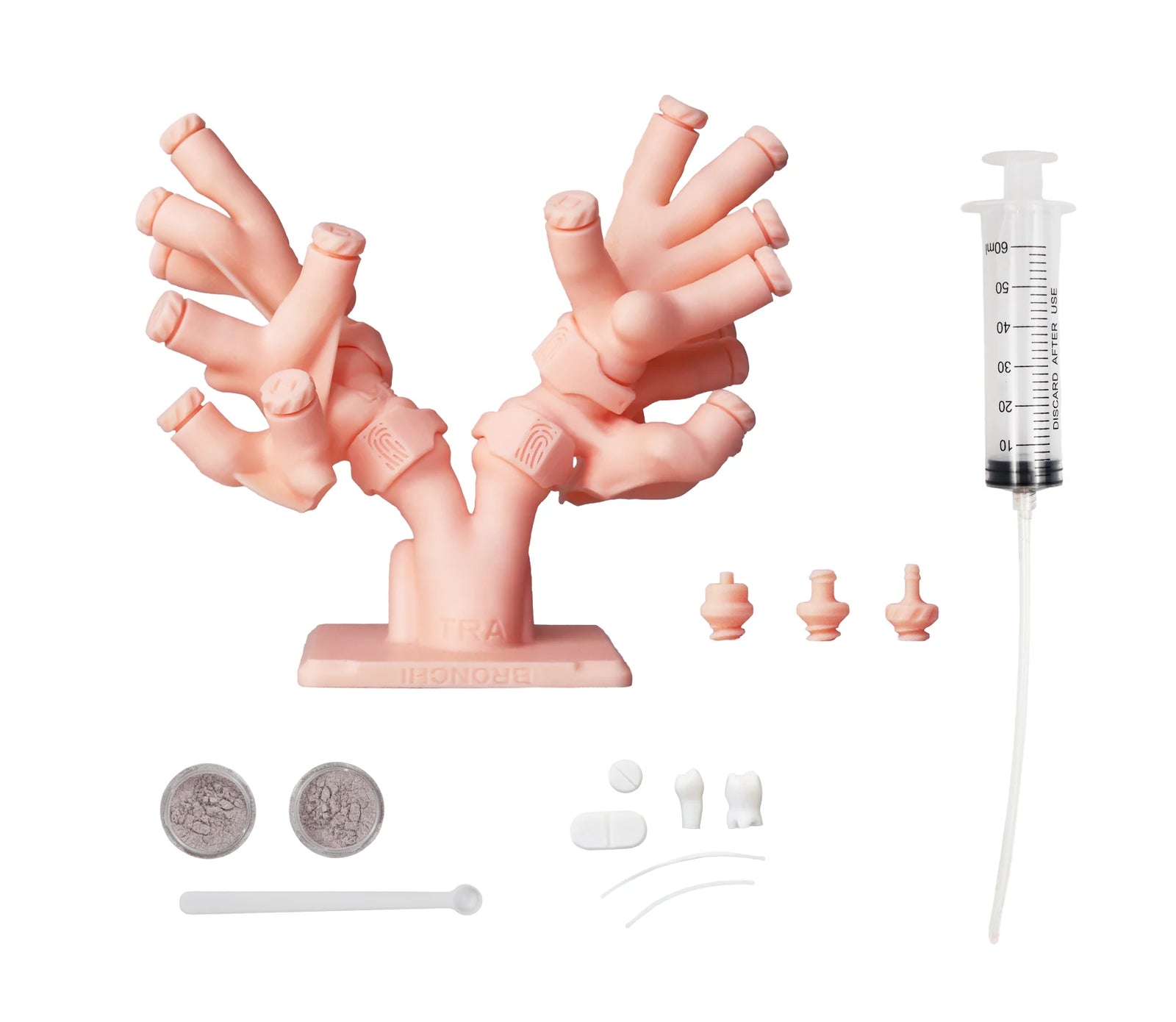 Decent Simulators bronchial tree module MP0001 kit with five-section bronchial tree, syringe and foreign bodies