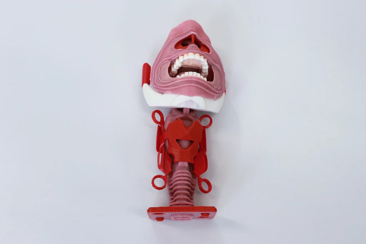 Decent Simulators V2 neck upgrade set MP0004 with updated neck assembly and standard airway