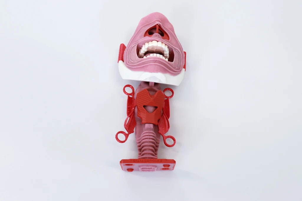 Decent Simulators epiglottitis V2 airway insert P0103 mounted on the V2 neck